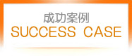 成功案例